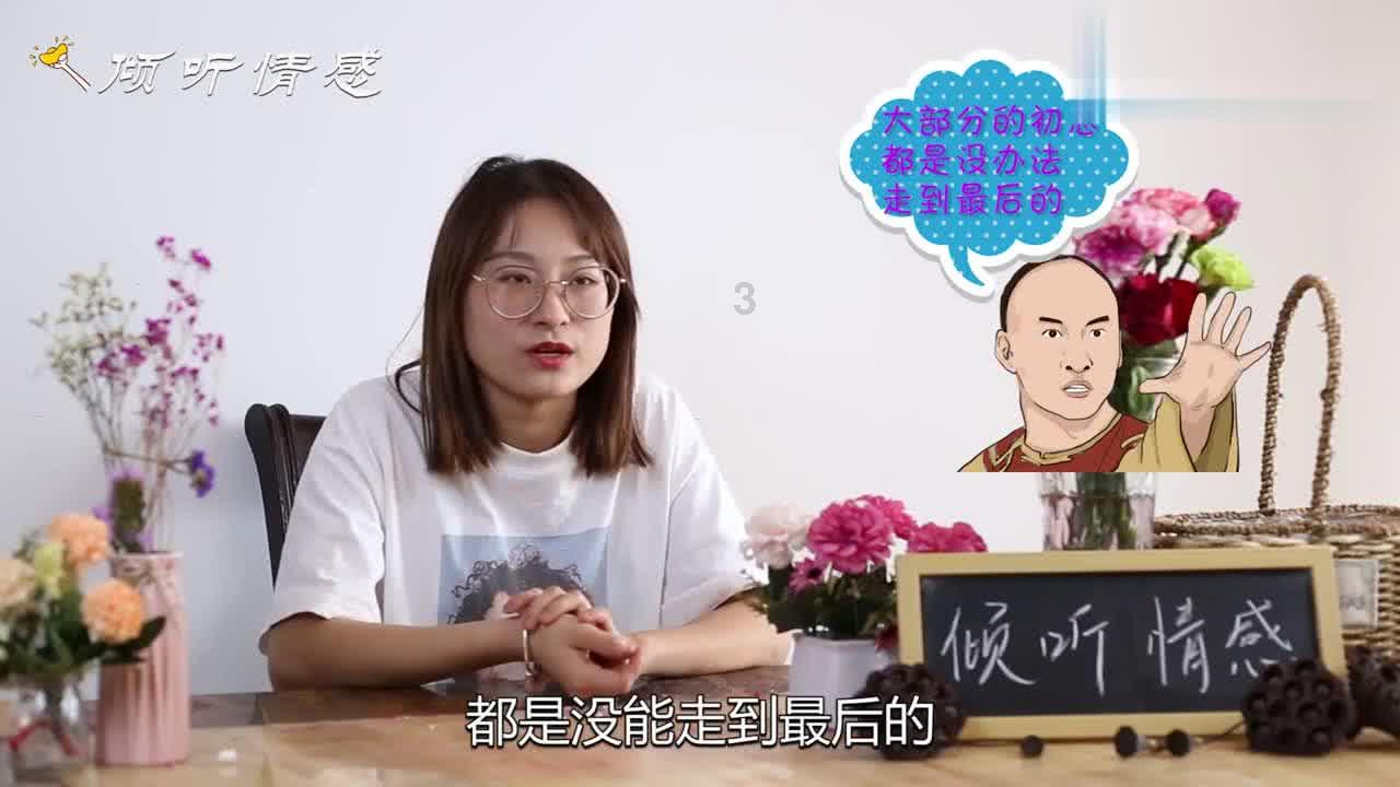 救援狗与猫